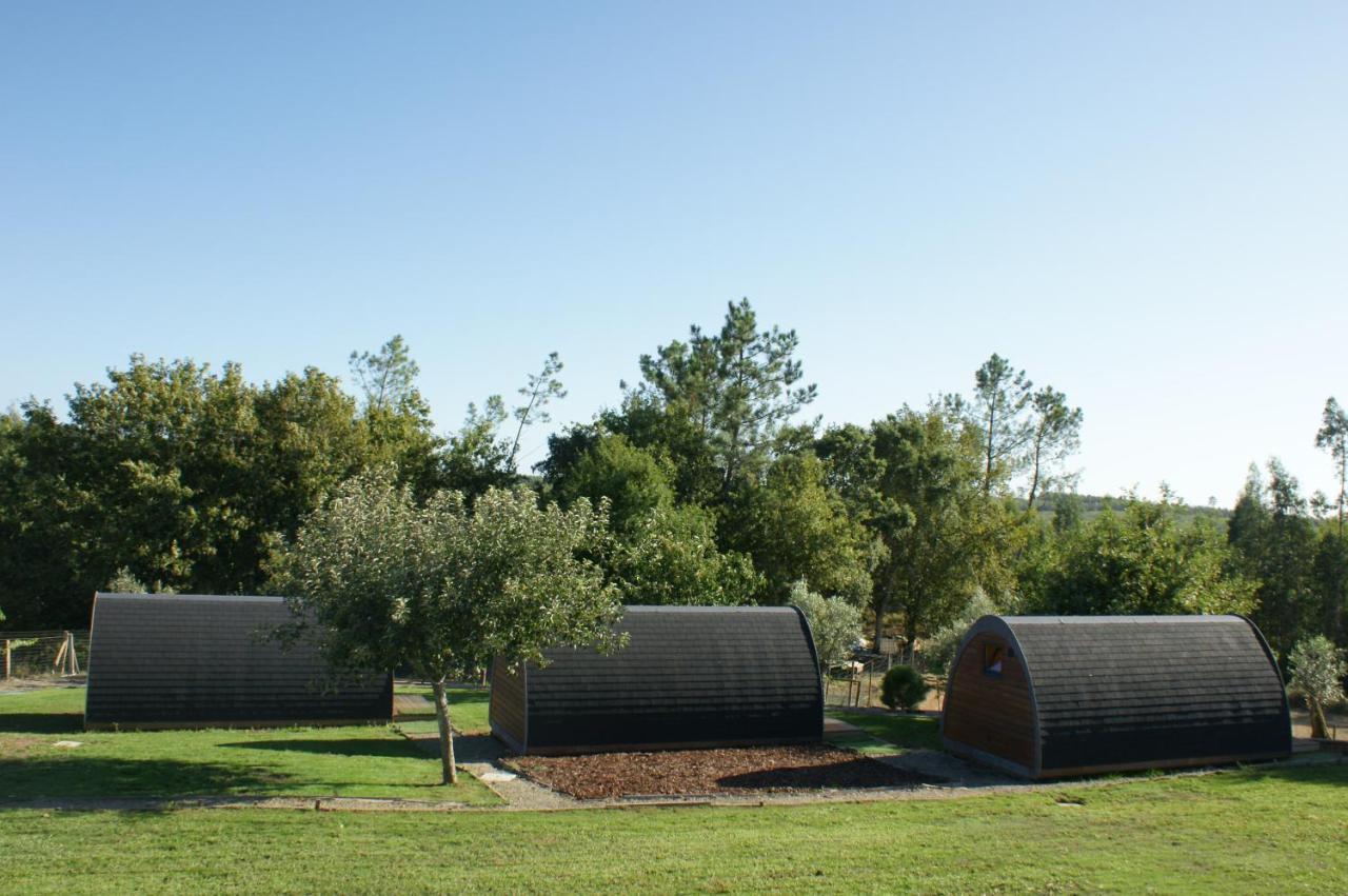 Casa Matilde - Alombada Family Lodge Águeda Екстериор снимка